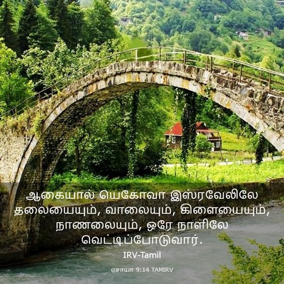 Picture 03 - ஏசாயா 9:14 TAMIRV - ஆகையால் யெகோவா - Bible Verse Picture