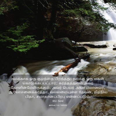 Picture 03 - ஏசாயா 9:6 TAMIRV - நமக்காக ஒரு - Bible Verse Picture