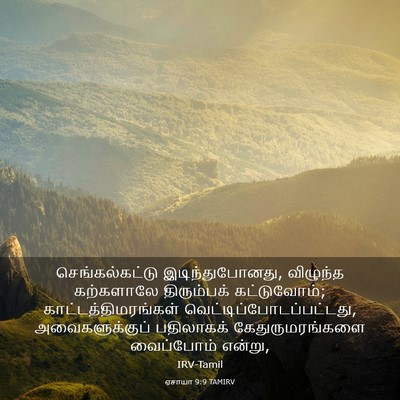 Picture 03 - ஏசாயா 9:9 TAMIRV - செங்கல்கட்டு - Bible Verse Picture