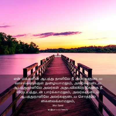 Picture 03 - ஒபதியா 1:13 TAMIRV - என் மக்களின் - Bible Verse Picture