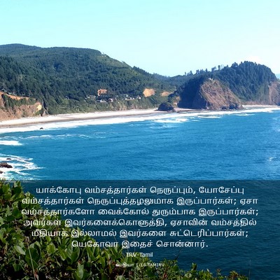 Picture 03 - ஒபதியா 1:18 TAMIRV - யாக்கோபு - Bible Verse Picture