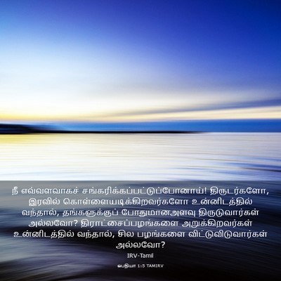 Picture 03 - ஒபதியா 1:5 TAMIRV - நீ எவ்வளவாகச் - Bible Verse Picture