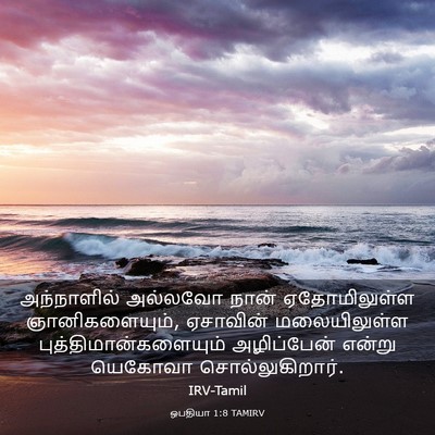 Picture 03 - ஒபதியா 1:8 TAMIRV - அந்நாளில் அல்லவோ - Bible Verse Picture