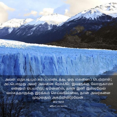 Picture 03 - ஓசியா 1:6 TAMIRV - அவள் மறுபடியும் - Bible Verse Picture