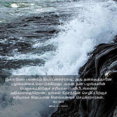 Picture 03 - ஓசியா 10:1 TAMIRV - இஸ்ரவேல் பலனற்ற - Bible Verse Picture