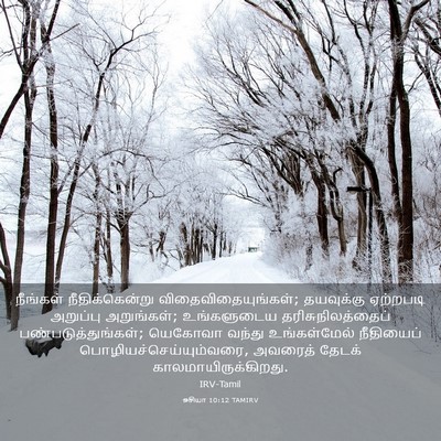 Picture 03 - ஓசியா 10:12 TAMIRV - நீங்கள் - Bible Verse Picture