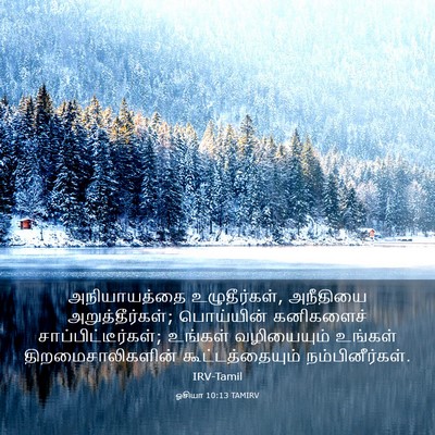 Picture 03 - ஓசியா 10:13 TAMIRV - அநியாயத்தை - Bible Verse Picture