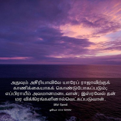 Picture 03 - ஓசியா 10:6 TAMIRV - அதுவும் - Bible Verse Picture