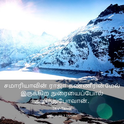 Picture 03 - ஓசியா 10:7 TAMIRV - சமாரியாவின் ராஜா - Bible Verse Picture