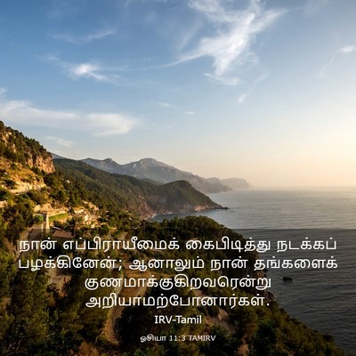 Picture 03 - ஓசியா 11:3 TAMIRV - நான் - Bible Verse Picture