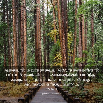 Picture 03 - ஓசியா 11:6 TAMIRV - ஆகையால் - Bible Verse Picture
