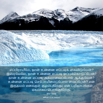 Picture 03 - ஓசியா 11:8 TAMIRV - எப்பிராயீமே, நான் - Bible Verse Picture