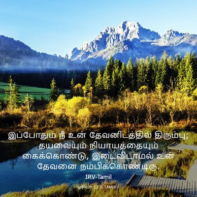 Picture 03 - ஓசியா 12:6 TAMIRV - இப்போதும் நீ உன் - Bible Verse Picture