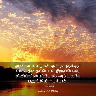 Picture 03 - ஓசியா 13:7 TAMIRV - ஆகையால் நான் - Bible Verse Picture