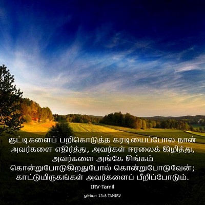 Picture 03 - ஓசியா 13:8 TAMIRV - குட்டிகளைப் - Bible Verse Picture