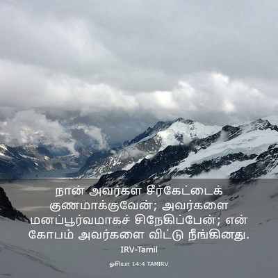 Picture 03 - ஓசியா 14:4 TAMIRV - நான் அவர்கள் - Bible Verse Picture