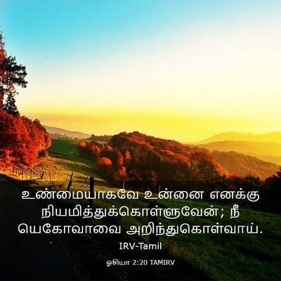 Picture 03 - ஓசியா 2:20 TAMIRV - உண்மையாகவே உன்னை - Bible Verse Picture