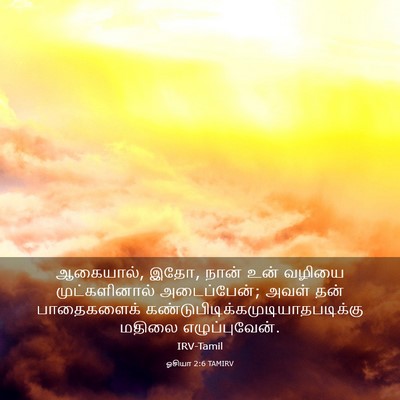 Picture 03 - ஓசியா 2:6 TAMIRV - ஆகையால், இதோ, நான் - Bible Verse Picture