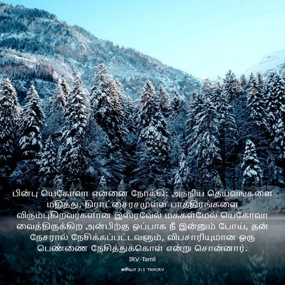 Picture 03 - ஓசியா 3:1 TAMIRV - பின்பு யெகோவா - Bible Verse Picture