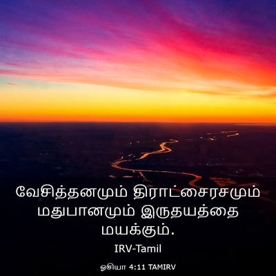 Picture 03 - ஓசியா 4:11 TAMIRV - வேசித்தனமும் - Bible Verse Picture