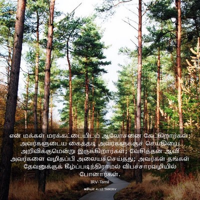 Picture 03 - ஓசியா 4:12 TAMIRV - என் மக்கள் - Bible Verse Picture