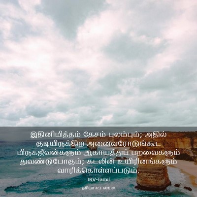 Picture 03 - ஓசியா 4:3 TAMIRV - இதினிமித்தம் - Bible Verse Picture