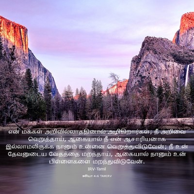 Picture 03 - ஓசியா 4:6 TAMIRV - என் மக்கள் - Bible Verse Picture