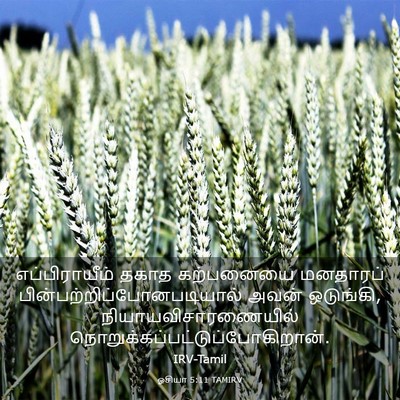 Picture 03 - ஓசியா 5:11 TAMIRV - எப்பிராயீம் தகாத - Bible Verse Picture