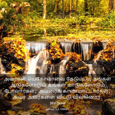 Picture 03 - ஓசியா 5:6 TAMIRV - அவர்கள் யெகோவாவை - Bible Verse Picture