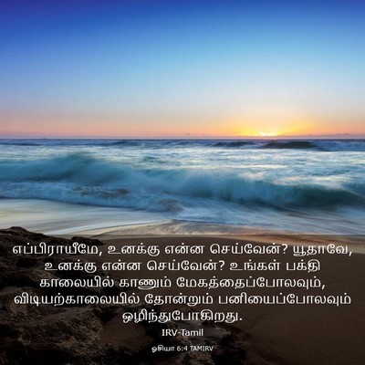 Picture 03 - ஓசியா 6:4 TAMIRV - எப்பிராயீமே, - Bible Verse Picture