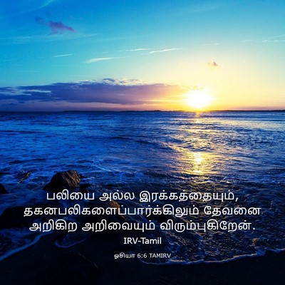 Picture 03 - ஓசியா 6:6 TAMIRV - பலியை அல்ல - Bible Verse Picture