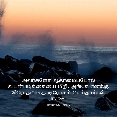Picture 03 - ஓசியா 6:7 TAMIRV - அவர்களோ - Bible Verse Picture