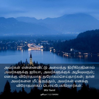Picture 03 - ஓசியா 7:13 TAMIRV - அவர்கள் - Bible Verse Picture