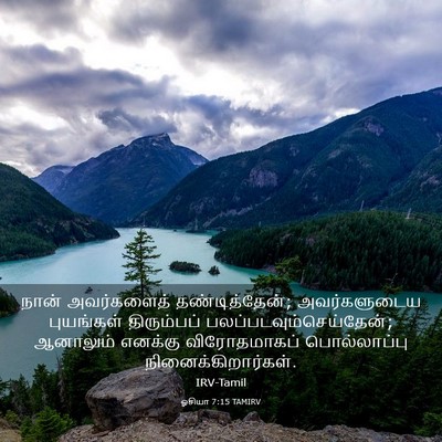 Picture 03 - ஓசியா 7:15 TAMIRV - நான் அவர்களைத் - Bible Verse Picture