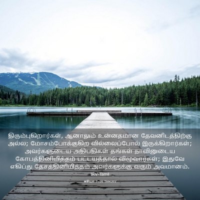 Picture 03 - ஓசியா 7:16 TAMIRV -  - Bible Verse Picture