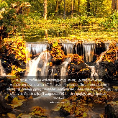 Picture 03 - ஓசியா 8:1 TAMIRV - உன் வாயிலே - Bible Verse Picture