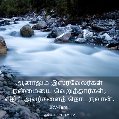 Picture 03 - ஓசியா 8:3 TAMIRV - ஆனாலும் - Bible Verse Picture