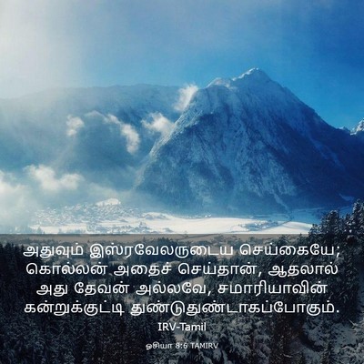 Picture 03 - ஓசியா 8:6 TAMIRV - அதுவும் - Bible Verse Picture