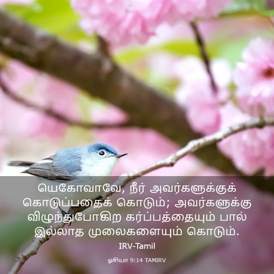 Picture 03 - ஓசியா 9:14 TAMIRV - யெகோவாவே, நீர் - Bible Verse Picture