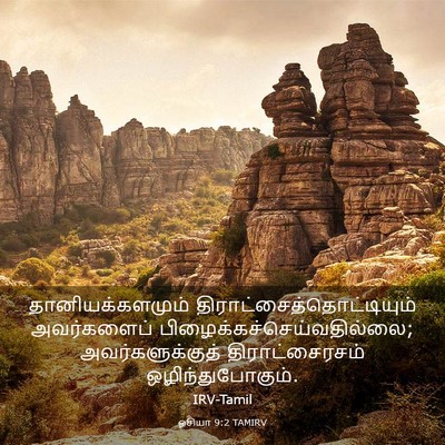Picture 03 - ஓசியா 9:2 TAMIRV - தானியக்களமும் - Bible Verse Picture