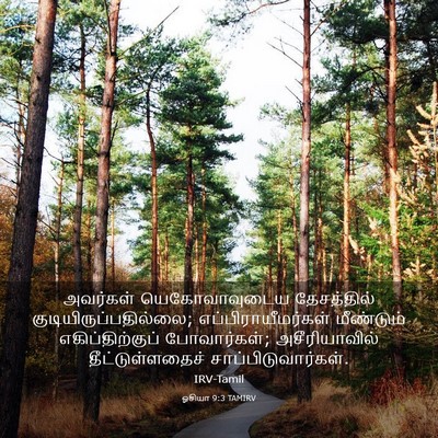 Picture 03 - ஓசியா 9:3 TAMIRV - அவர்கள் - Bible Verse Picture