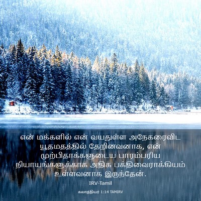 Picture 03 - கலாத்தியர் 1:14 TAMIRV - என் மக்களில் என் - Bible Verse Picture