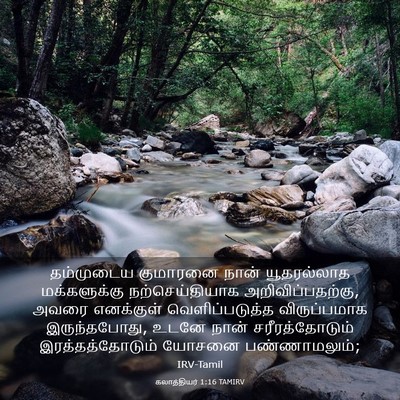 Picture 03 - கலாத்தியர் 1:16 TAMIRV - தம்முடைய குமாரனை - Bible Verse Picture