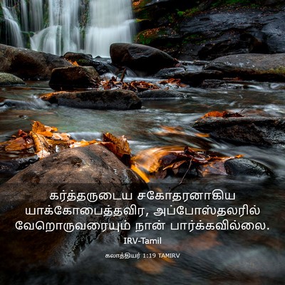 Picture 03 - கலாத்தியர் 1:19 TAMIRV - கர்த்தருடைய - Bible Verse Picture