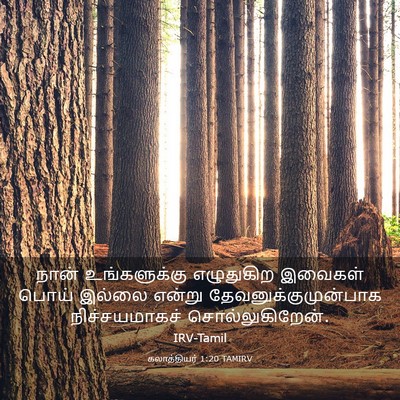 Picture 03 - கலாத்தியர் 1:20 TAMIRV - நான் உங்களுக்கு - Bible Verse Picture