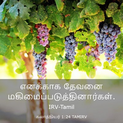 Picture 03 - கலாத்தியர் 1:24 TAMIRV - எனக்காக தேவனை - Bible Verse Picture
