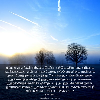 Picture 03 - கலாத்தியர் 2:14 TAMIRV - இப்படி அவர்கள் - Bible Verse Picture