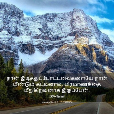 Picture 03 - கலாத்தியர் 2:18 TAMIRV - நான் - Bible Verse Picture