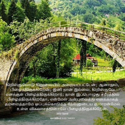 Picture 03 - கலாத்தியர் 2:20 TAMIRV - கிறிஸ்துவோடு - Bible Verse Picture