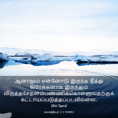 Picture 03 - கலாத்தியர் 2:3 TAMIRV - ஆனாலும் என்னோடு - Bible Verse Picture